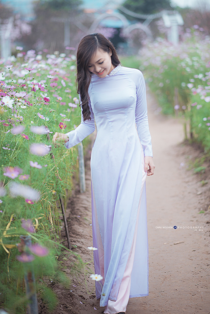 青云志