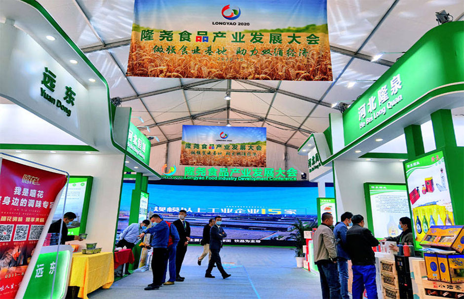 隆堯食品產(chǎn)業(yè)發(fā)展大會(huì)(圖5)